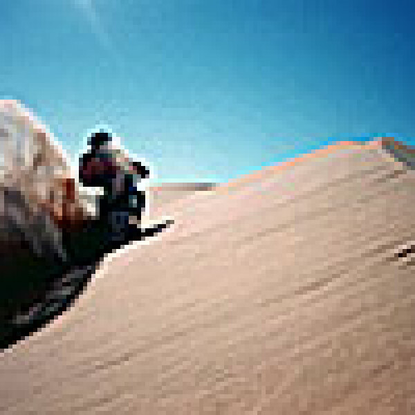 Motorradreisen Tunesien Dünenfeld Oase Muskeln